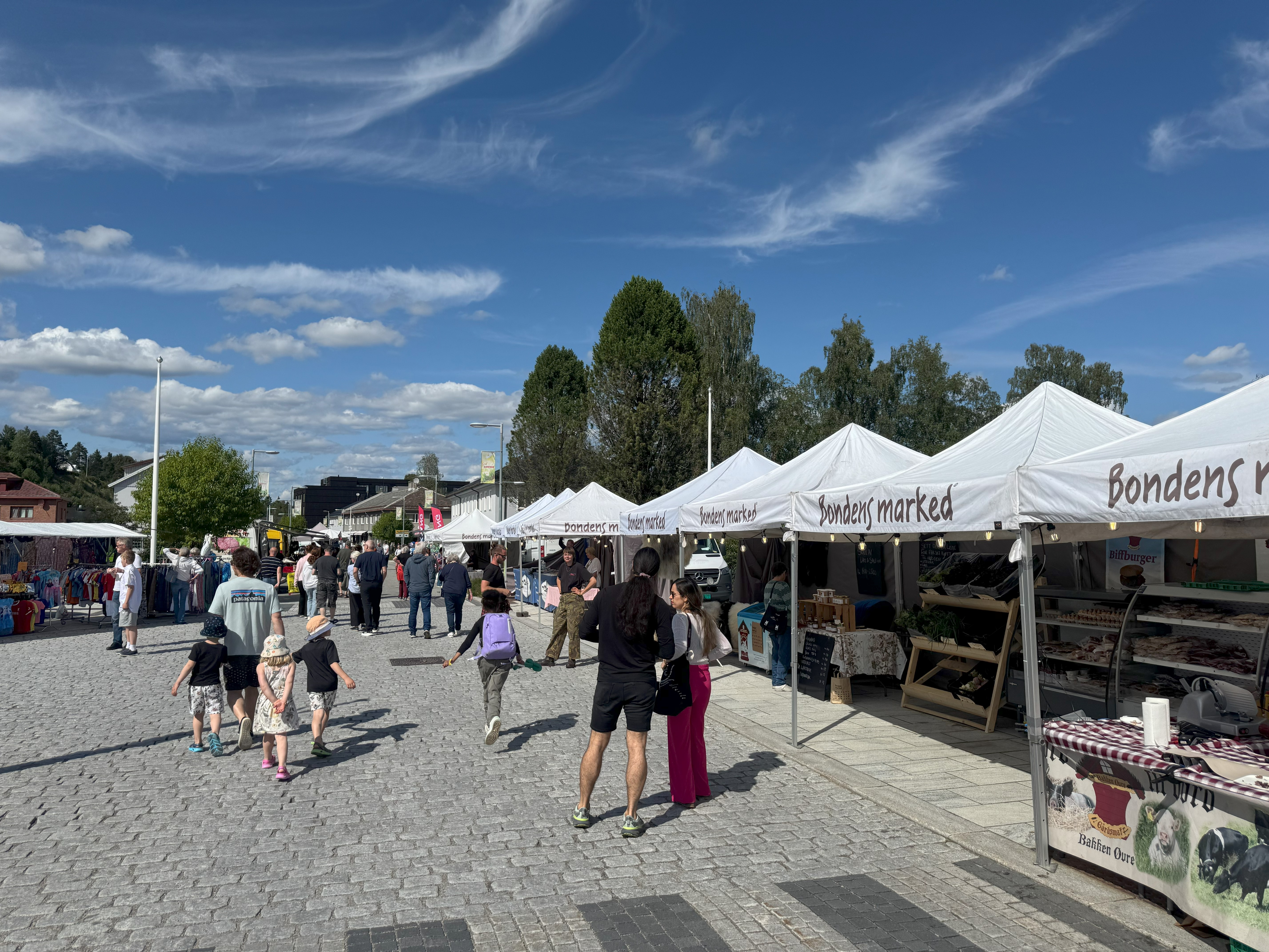 Renadagene – Folkefest på Rena